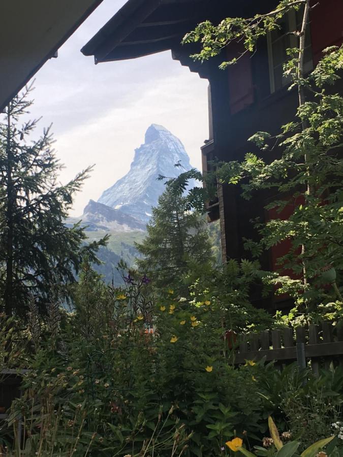 Mountain Apartments Zermatt Nr 6 Exteriör bild